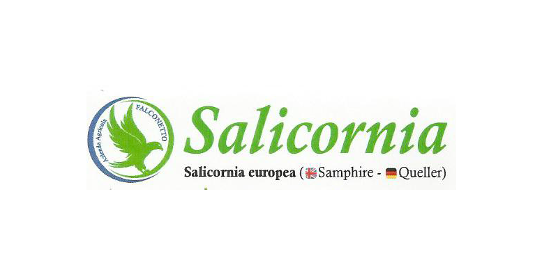 La salicornia